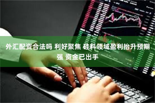 外汇配资合法吗 利好聚焦 硅料领域盈利抬升预期强 资金已出手