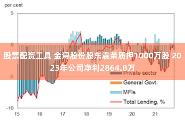 股票配资工具 金浔股份股东袁荣质押1000万股 2023年公司净利2864.8万