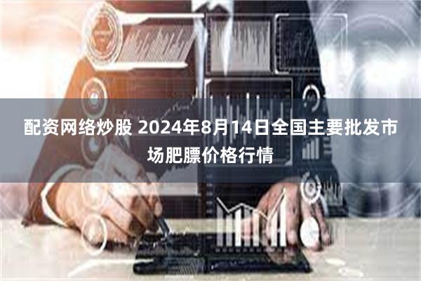 配资网络炒股 2024年8月14日全国主要批发市场肥膘价格行情