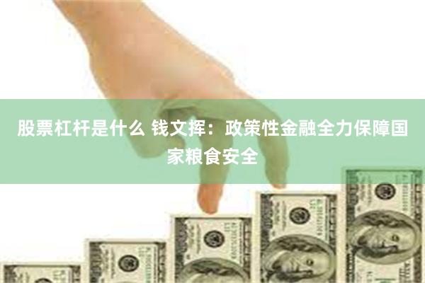 股票杠杆是什么 钱文挥：政策性金融全力保障国家粮食安全