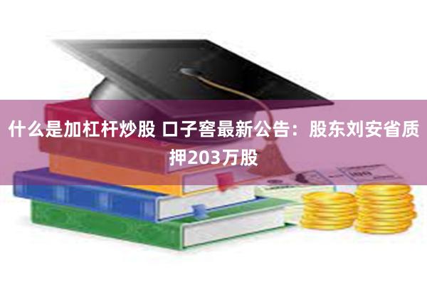 什么是加杠杆炒股 口子窖最新公告：股东刘安省质押203万股