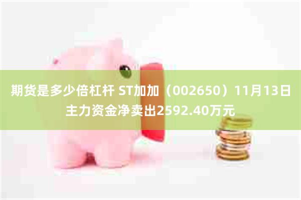 期货是多少倍杠杆 ST加加（002650）11月13日主力资金净卖出2592.40万元