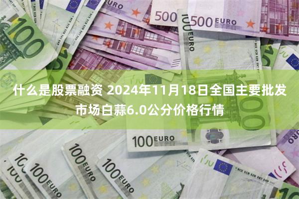 什么是股票融资 2024年11月18日全国主要批发市场白蒜6.0公分价格行情