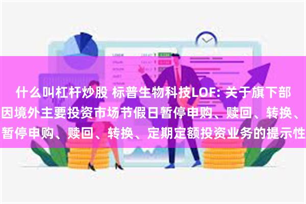 什么叫杠杆炒股 标普生物科技LOF: 关于旗下部分基金2024年11月28日因境外主要投资市场节假日暂停申购、赎回、转换、定期定额投资业务的提示性公告