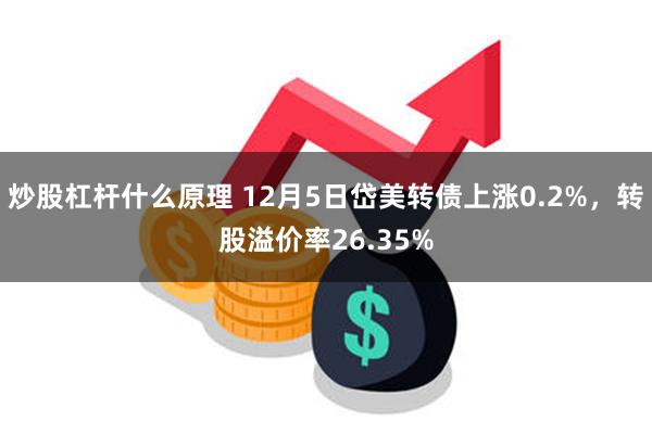 炒股杠杆什么原理 12月5日岱美转债上涨0.2%，转股溢价率26.35%